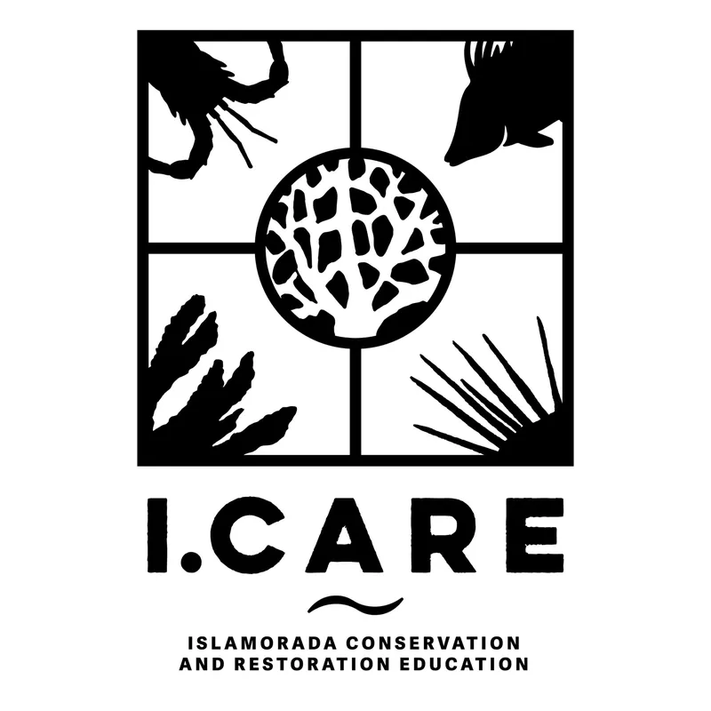 Logo I.CARE avec des illustrations de faune marine et corail
