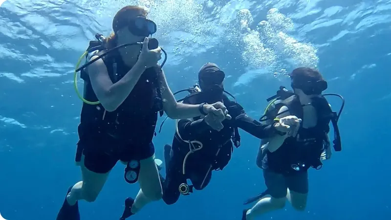 Trois plongeurs en combinaison nagent ensemble dans une eau bleue claire