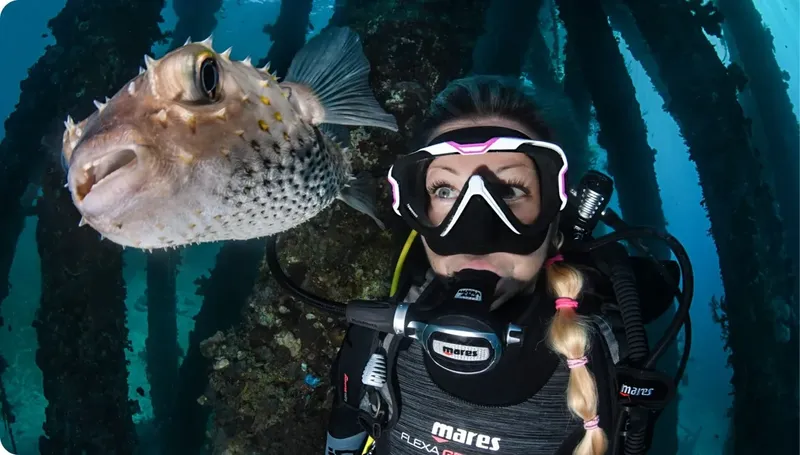 Plongeuse face à un poisson-globe curieux dans une épave