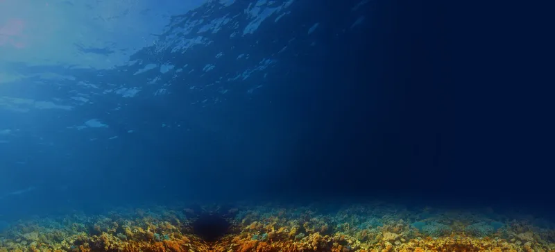 Vue sous-marine d'un récif corallien avec lumière filtrant à la surface