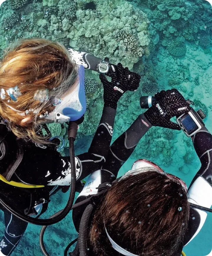 Deux plongeurs explorent un récif corallien turquoise en toute sécurité