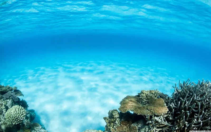 Coraux et fond marin bleu clair, lumière du soleil filtrant à travers l'eau