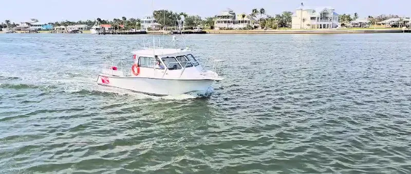 Bateau de plongée navigue sur une eau calme avec des habitations