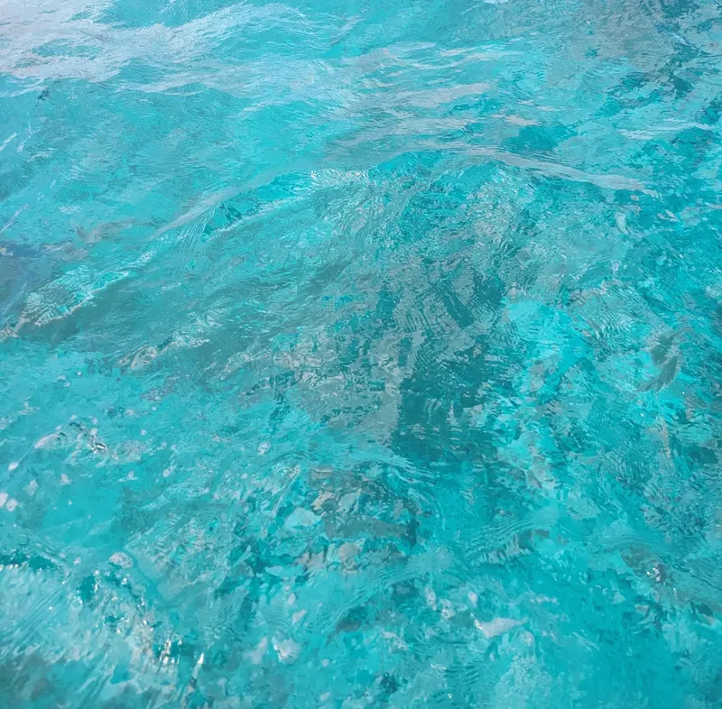 Eau turquoise et claire, reflets lumineux, surface agitée par le vent
