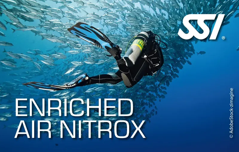 Plongeur évolue au milieu d'un banc de poissons, formation Nitrox SSI