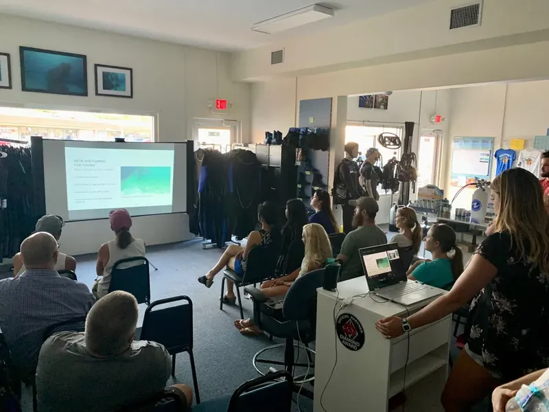 Cours de plongée en salle avec projection, équipement et participants attentifs