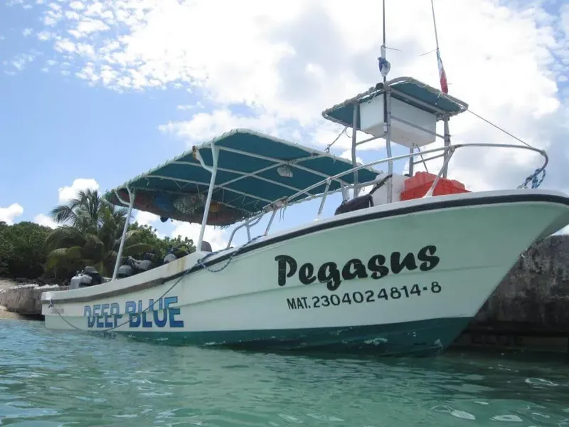 Bateau de plongée vert et turquoise amarré dans une eau claire