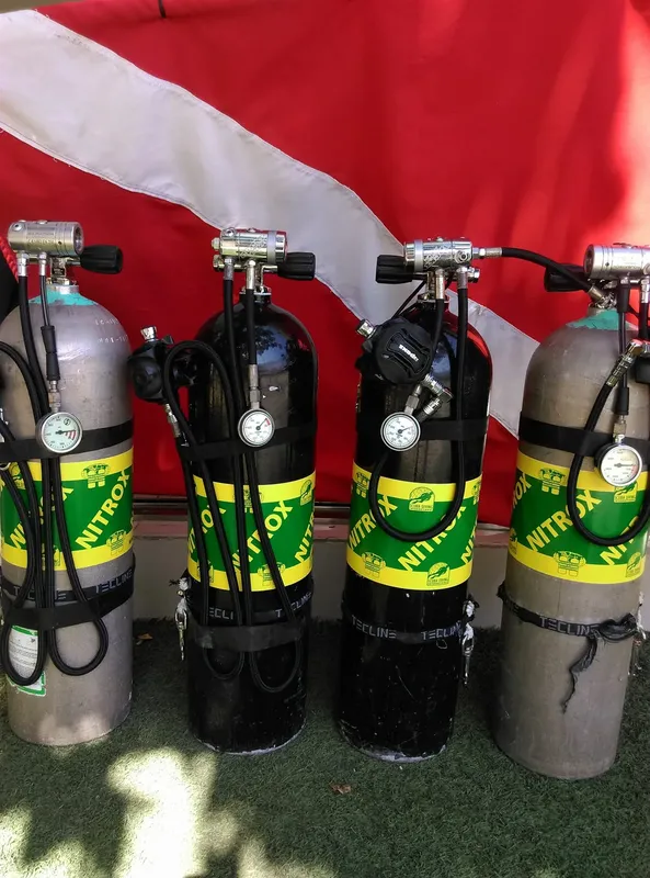 Quatre bouteilles de plongée Nitrox alignées avec détendeurs et manomètres