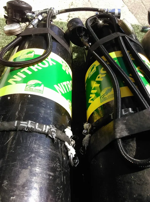 Bouteilles de plongée Nitrox vertes et noires, équipement de centre
