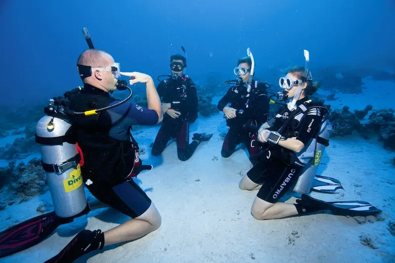 Plongeurs en formation sous-marine, communication gestuelle, équipement complet visible