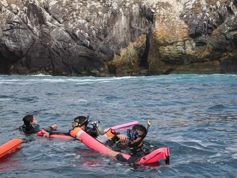 Plongée en mer : trois personnes flottent près d'une falaise rocheuse
