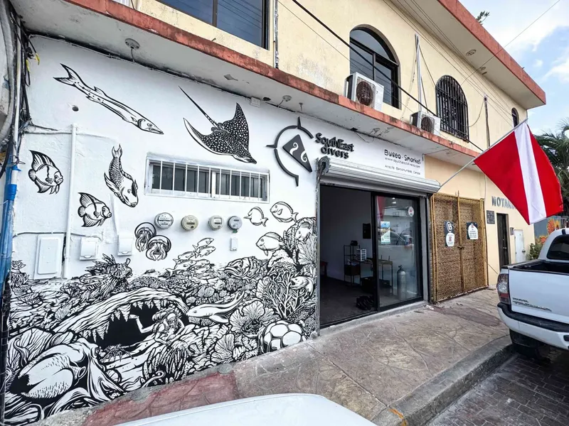 Façade d'un centre de plongée avec une fresque marine et des bouteilles