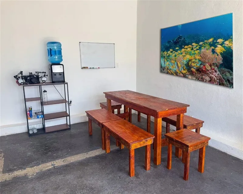 Espace repas avec table en bois, étagère et grande photo marine
