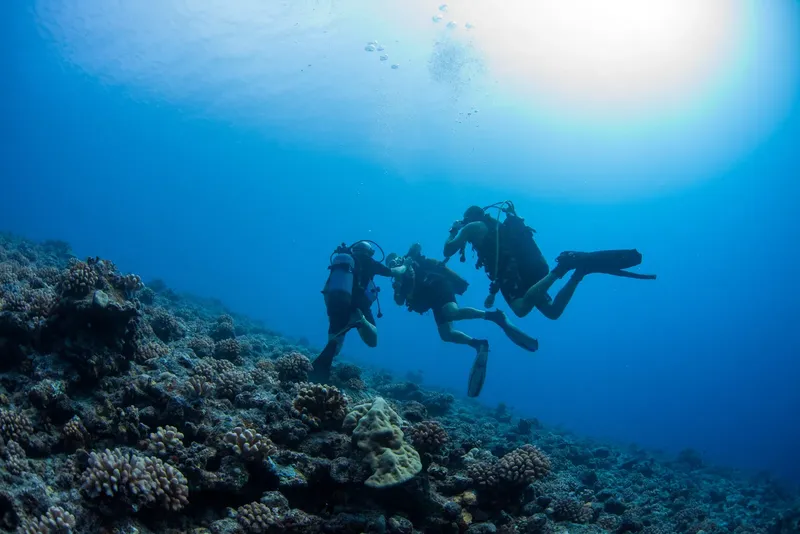 Deux plongeurs explorent un récif corallien en eau bleue claire