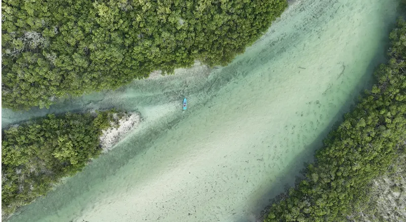 Une personne en kayak explore une rivière turquoise bordée de mangroves