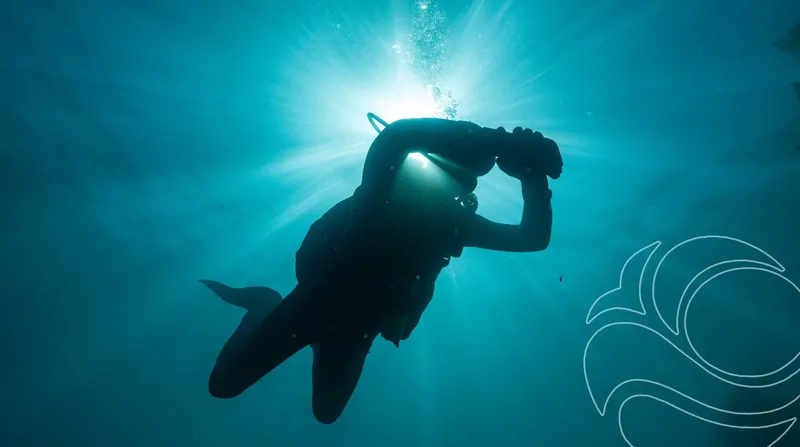 Plongeur silhouetté nageant vers la surface dans une eau turquoise claire