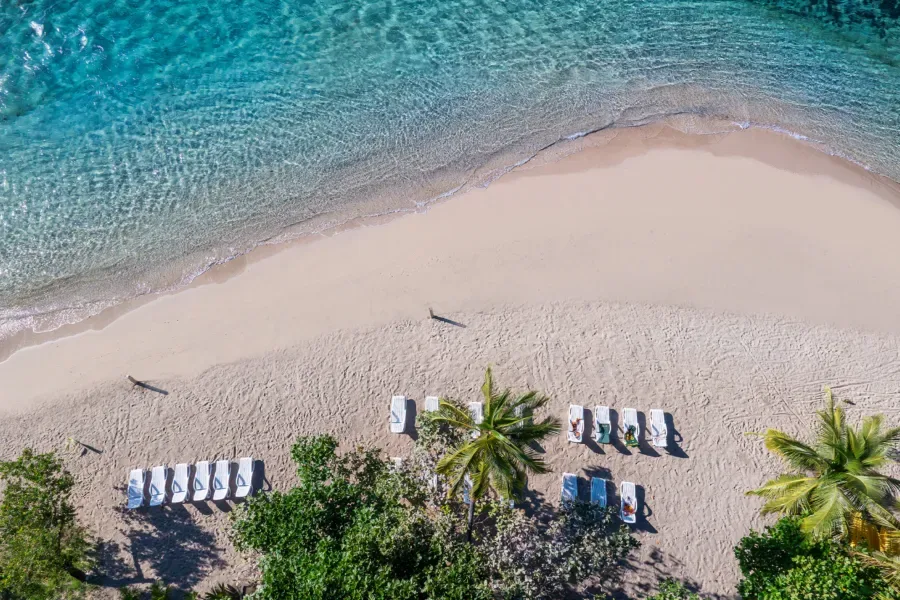 Vue aérienne d'une plage tropicale avec des transats et des palmiers
