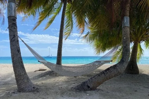 Hamac blanc entre deux palmiers sur une plage tropicale ensoleillée