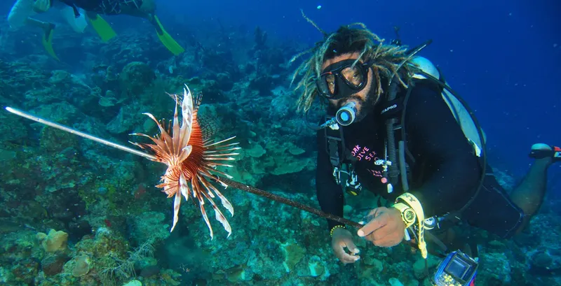 Plongeur interagissant avec un poisson-lion dans un récif corallien