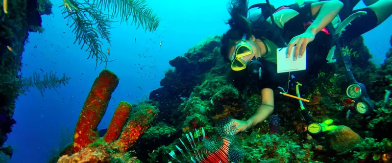 Plongeuse en combinaison étudie un récif corallien sous-marin bleu