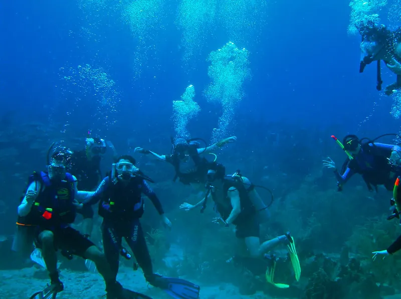 Groupe de plongeurs explorant un récifal sous-marin bleu et clair