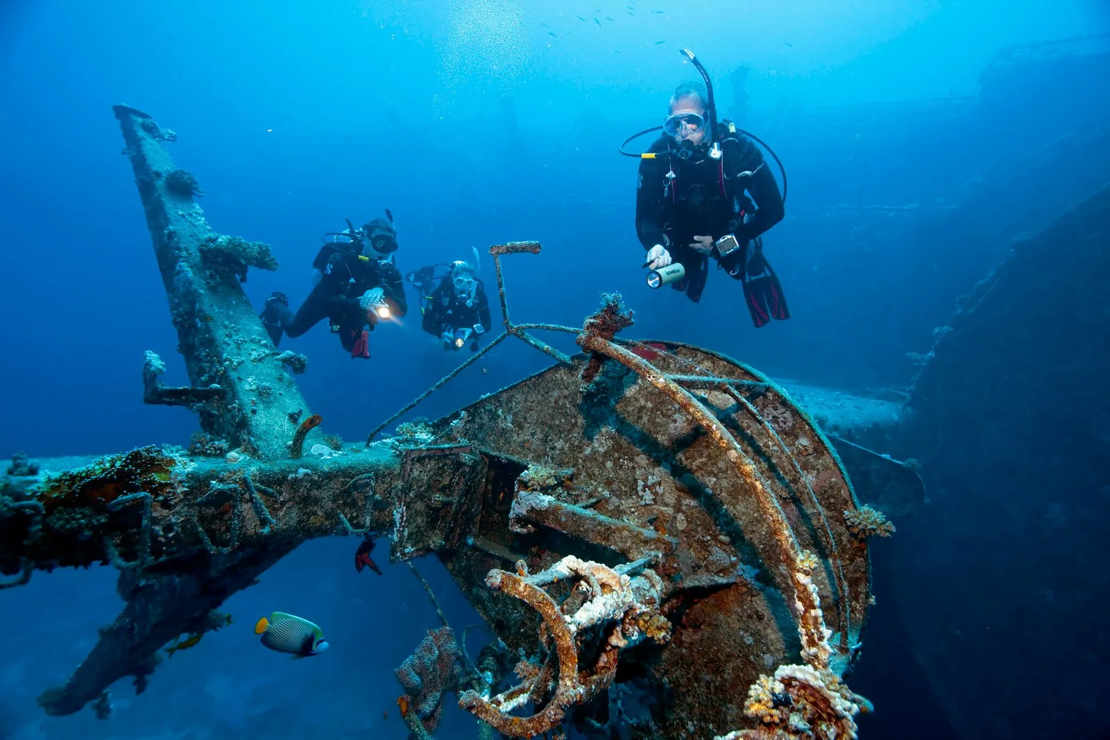 Plongeurs explorant l'épave d'un navire rouillé en milieu marin