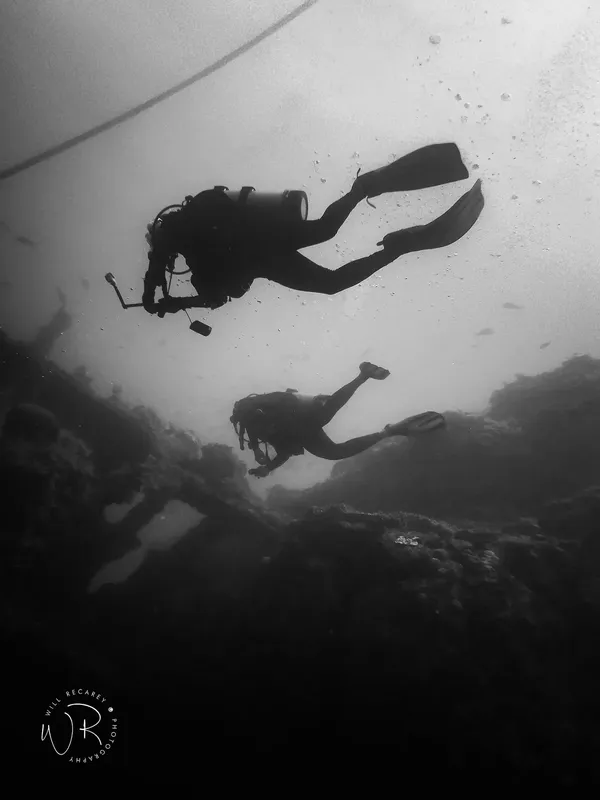 Deux plongeurs explorent un fond marin rocheux en apnée ou scuba