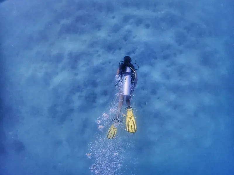 Plongeur en combinaison descend dans une eau bleu clair et trouble