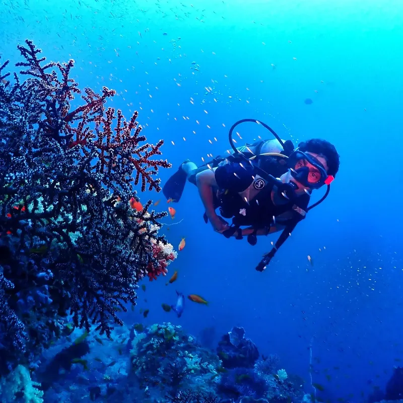 Plongeur en combinaison explore un récifal corallien bleu profond