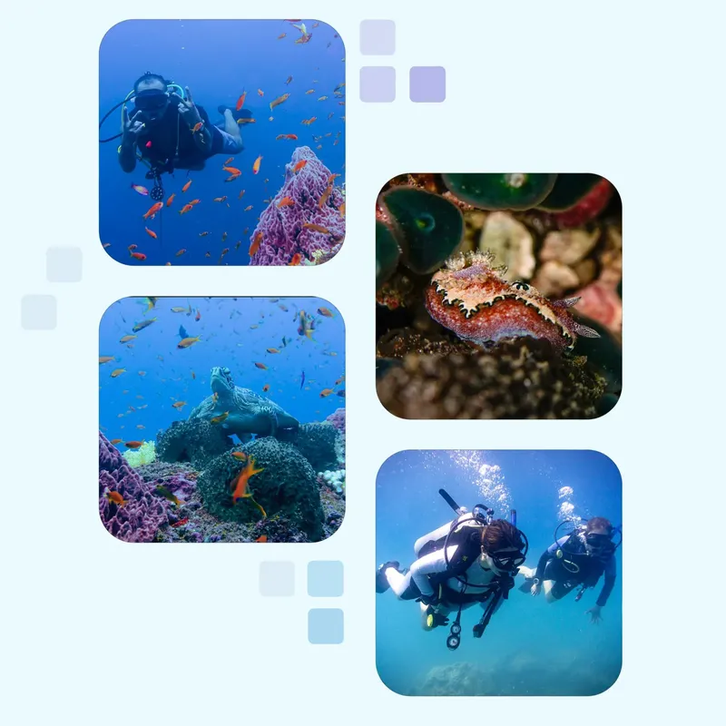 Plongeurs et vie marine colorée dans un récif corallien ensoleillé