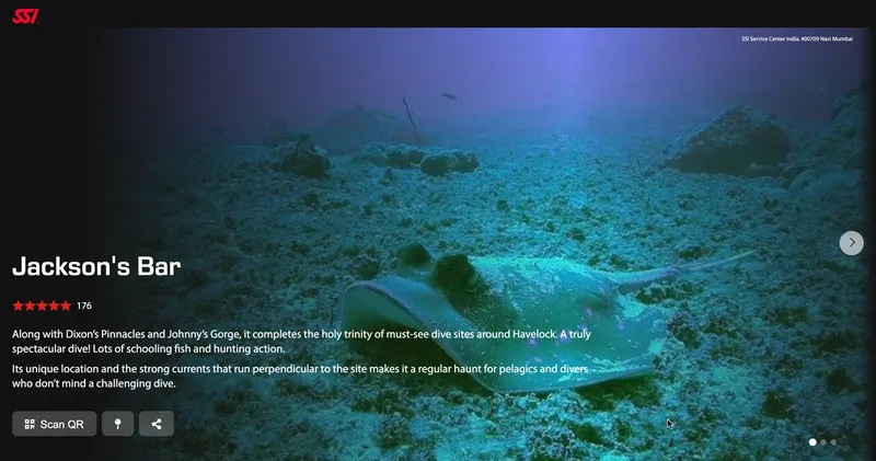 Raie manta nageant au-dessus d'un fond marin rocheux et corallien