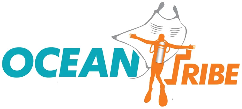 Plongeur et raie manta stylisés, logo bicolore sur fond blanc