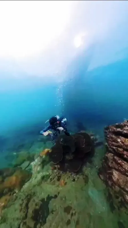 Plongeur explorant un fond marin rocheux avec de la lumière filtrée