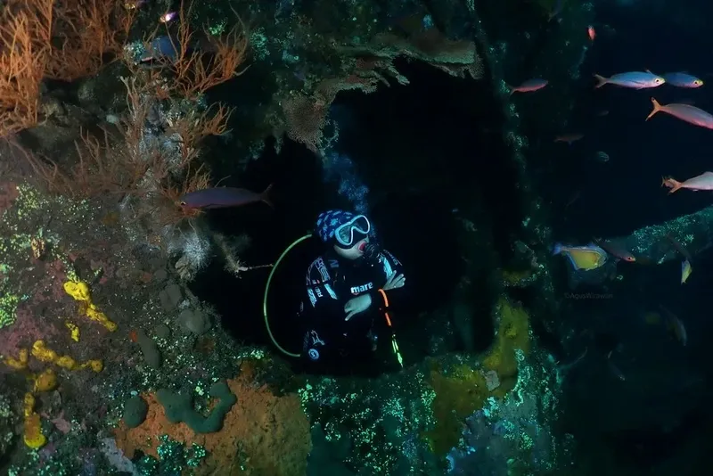 Plongeur explore une grotte sous-marine avec des poissons colorés