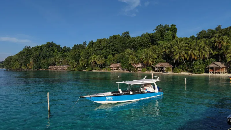 Bateau de plongée bleu et blanc amarré devant une plage tropicale