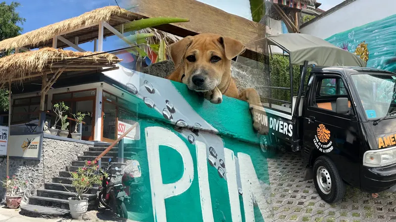 Façade d'un centre de plongée avec un chiot et un véhicule utilitaire