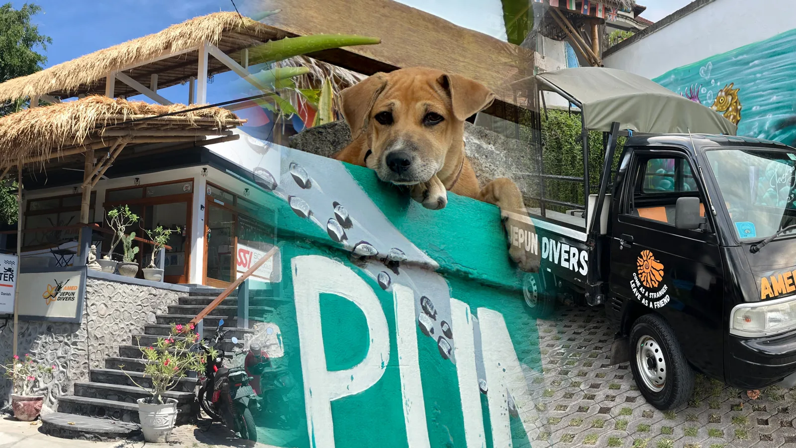 Amed Jepun Divers, Canadian & Danish owned and operated