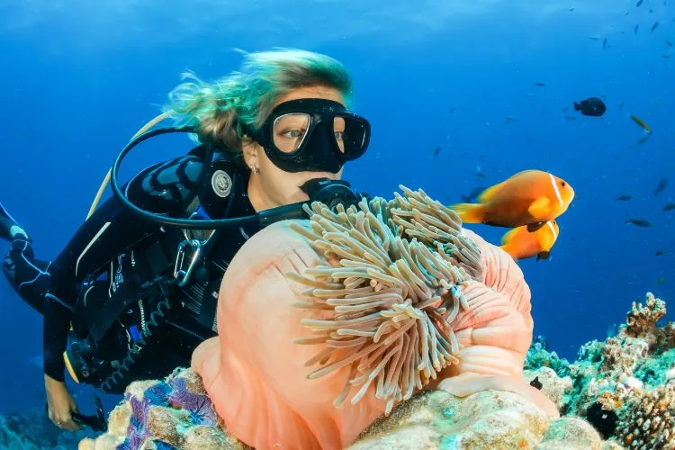 Plongeuse près d'une anémone de mer et de poissons clowns colorés