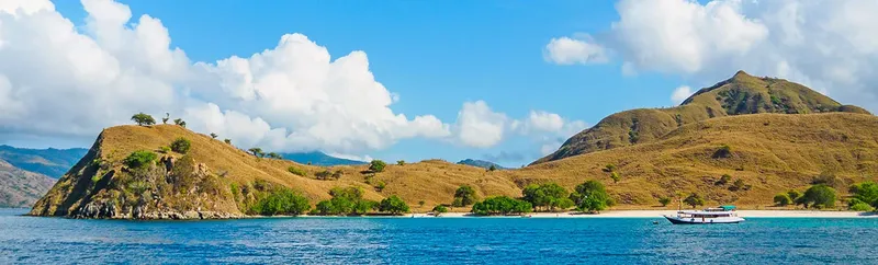 Paysage marin avec colline, plage et bateau en mer