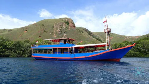 Bateau de plongée bleu et rouge amarré devant une île verdoyante