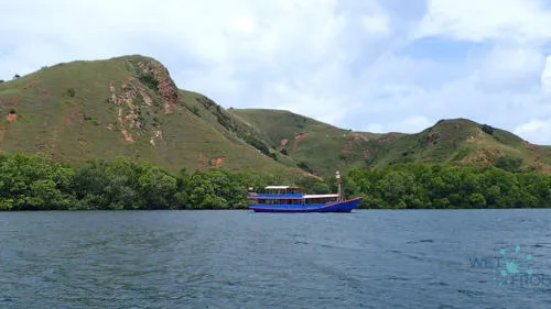 Bateau bleu naviguant sur une eau calme devant des collines verdoyantes