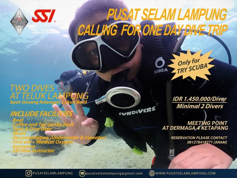 Plongeurs sous l'eau, invitation à une journée plongée à Teluk Lampung