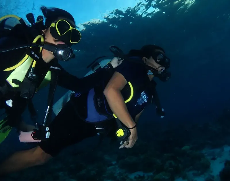 Deux plongeurs en combinaison explorent un milieu sous-marin bleu