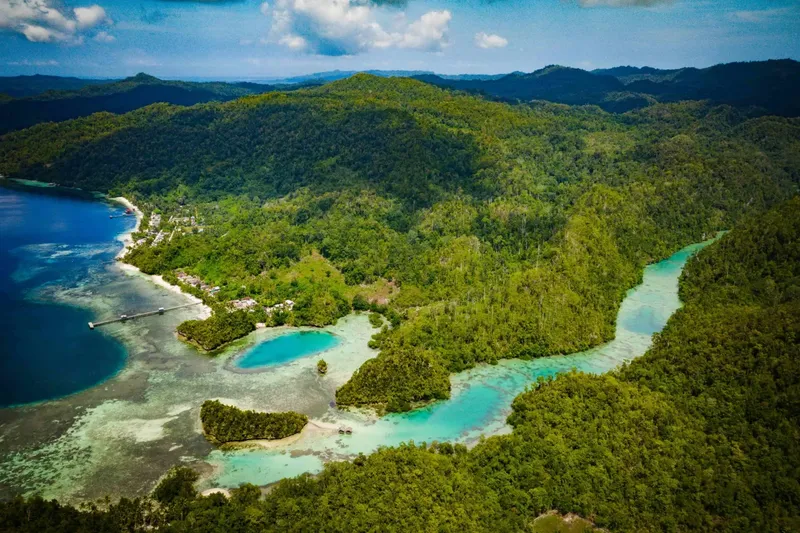 Vue aérienne d'une côte tropicale avec forêt, eau turquoise et ponton