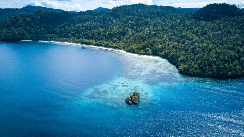 Vue aérienne d'une plage tropicale avec un bateau en mer