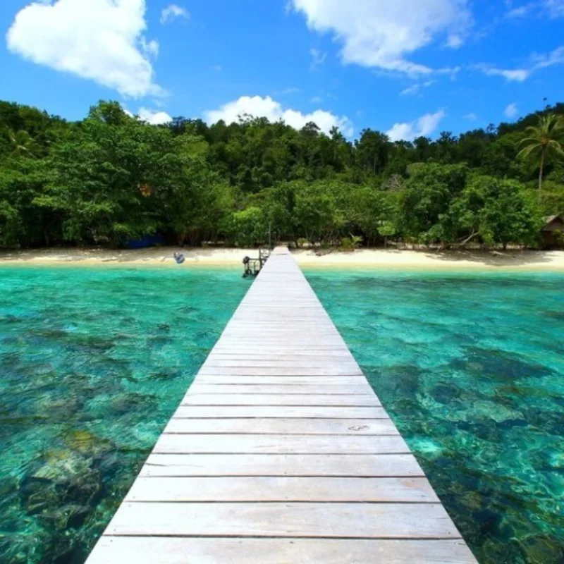 Ponton en bois menant vers une plage tropicale et une forêt dense
