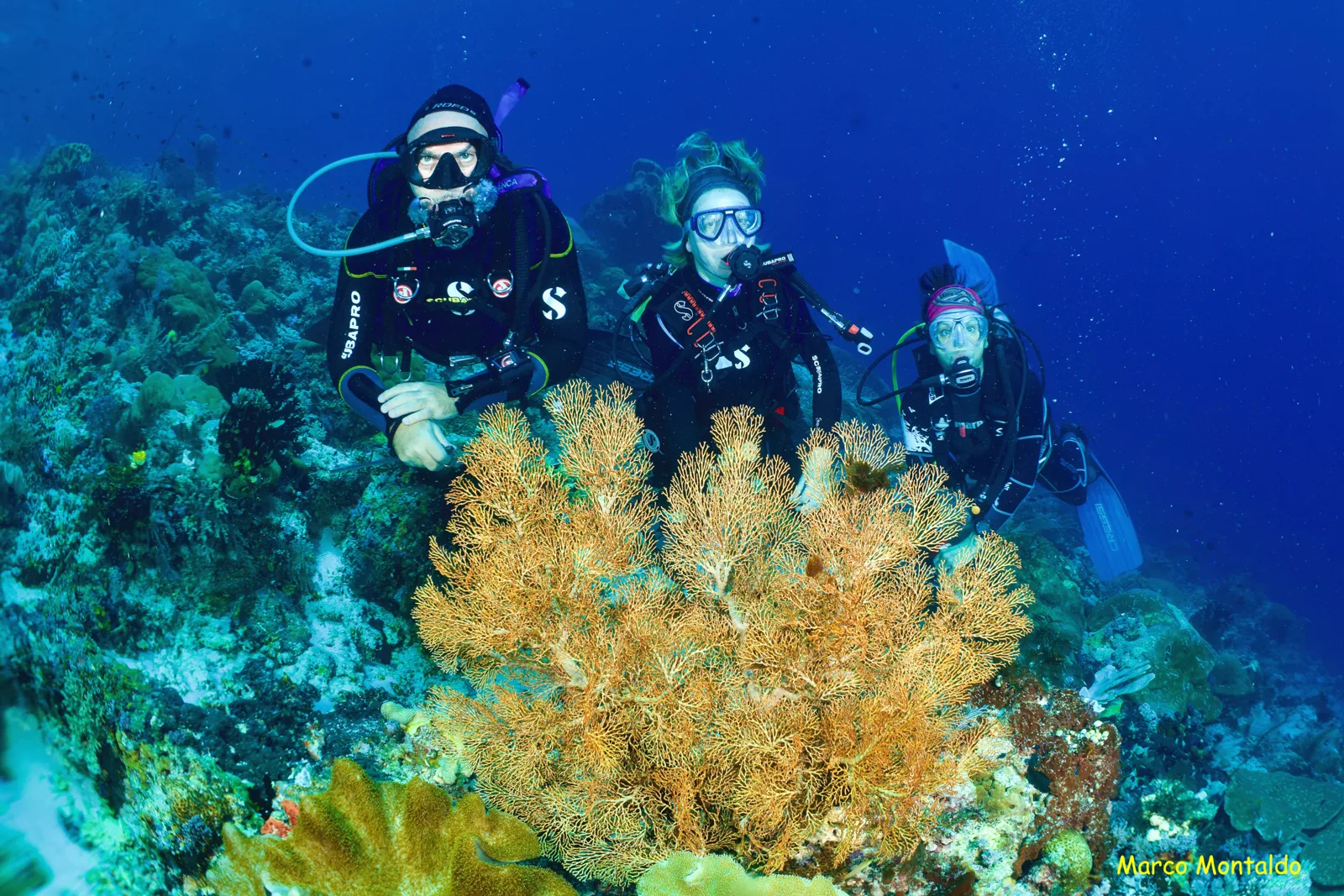 Agusta Eco Resort Diving Center