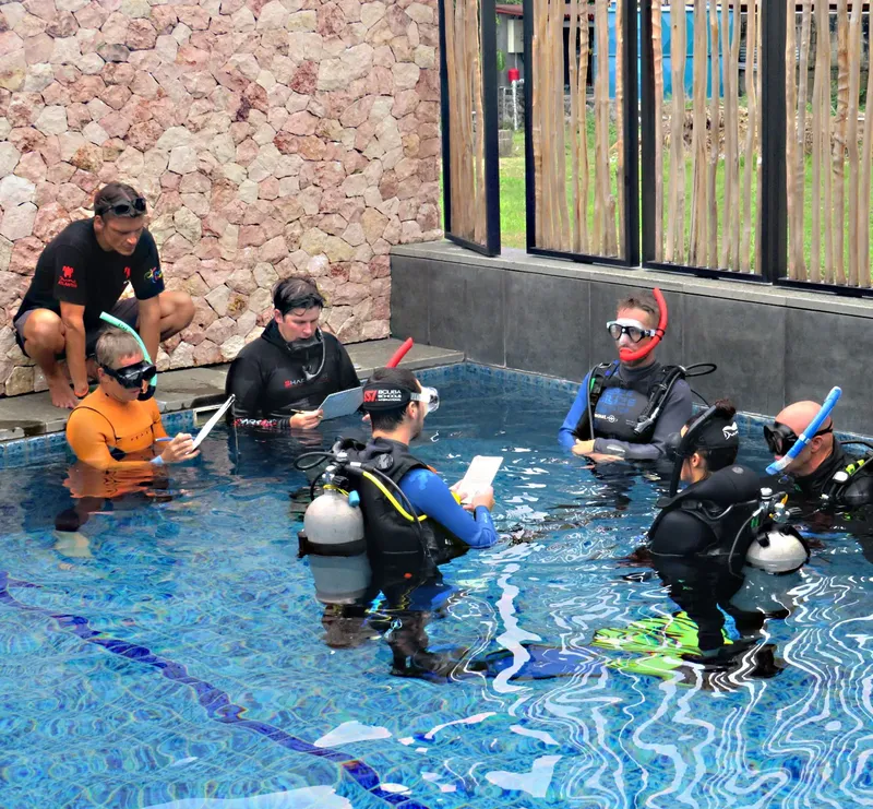 Groupe de personnes en combinaison de plongée dans une piscine