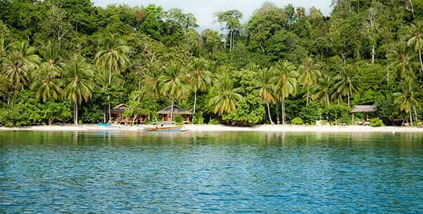 Plage tropicale avec quelques cabanes et un petit bateau amarré