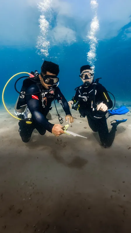 Deux plongeurs examinent un petit poisson sur le fond marin
